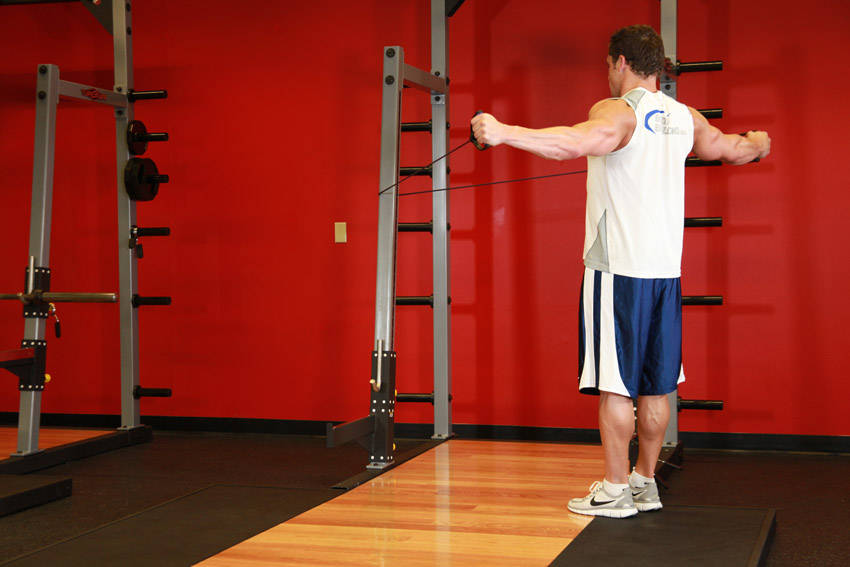 Back Flyes - With Bands