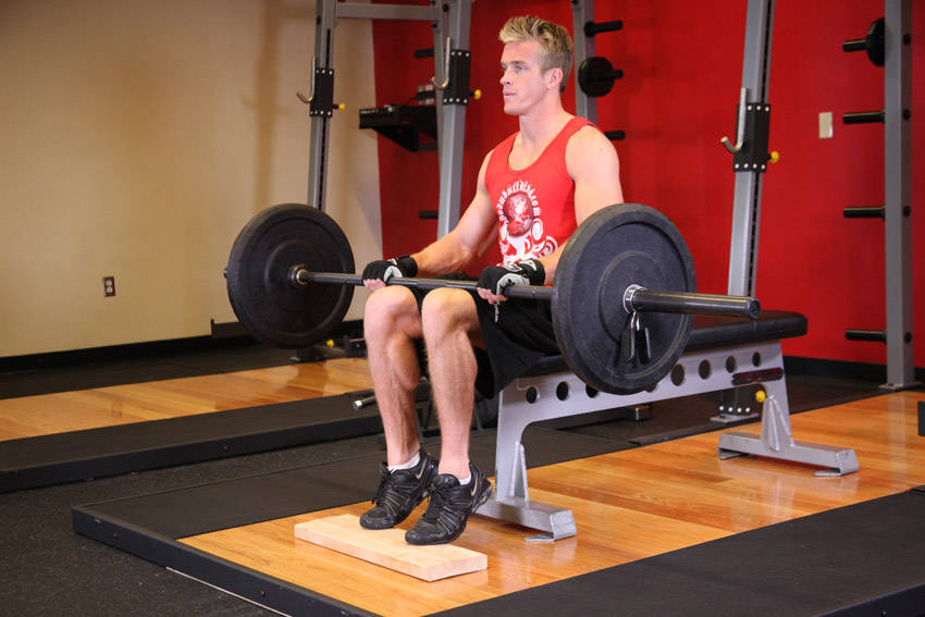 Barbell Seated Calf Raise