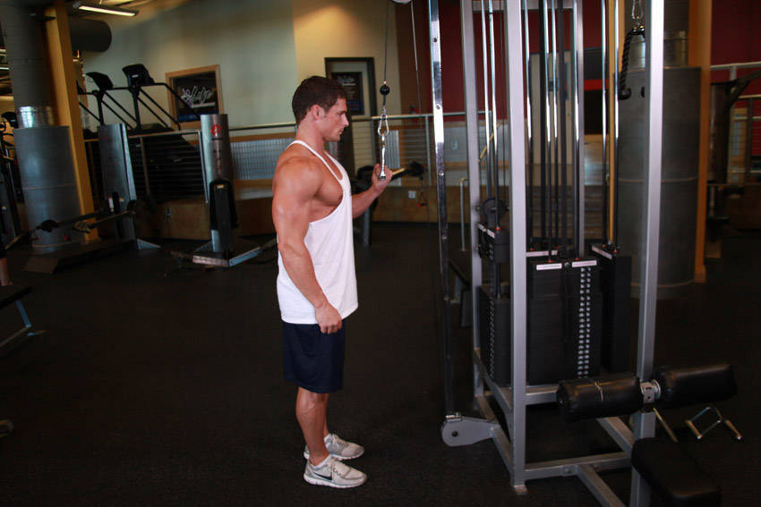 Cable One Arm Tricep Extension