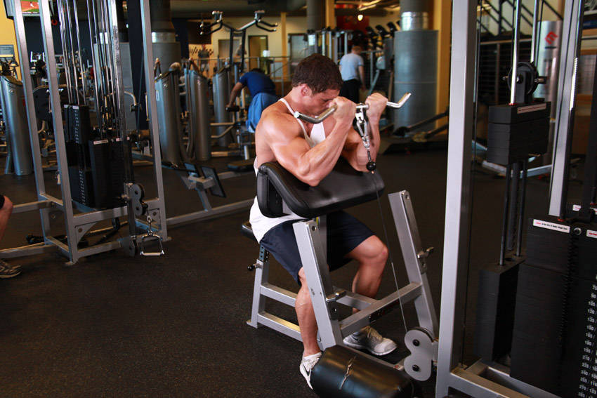 Cable Preacher Curl