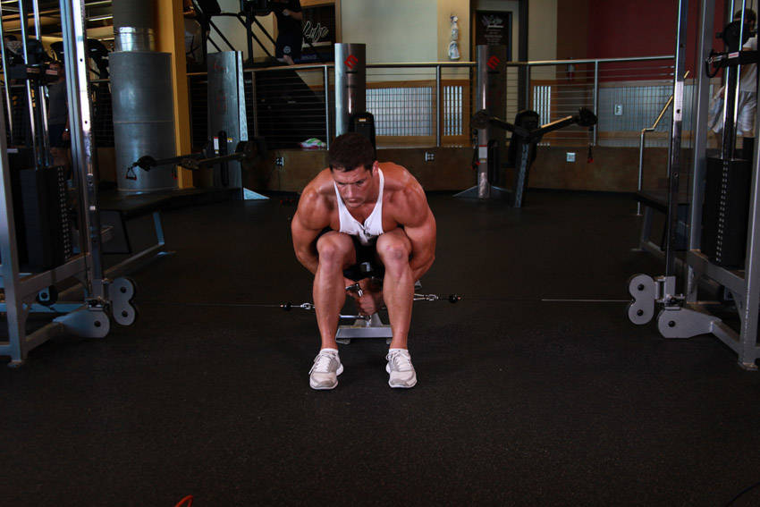 Cable Seated Lateral Raise