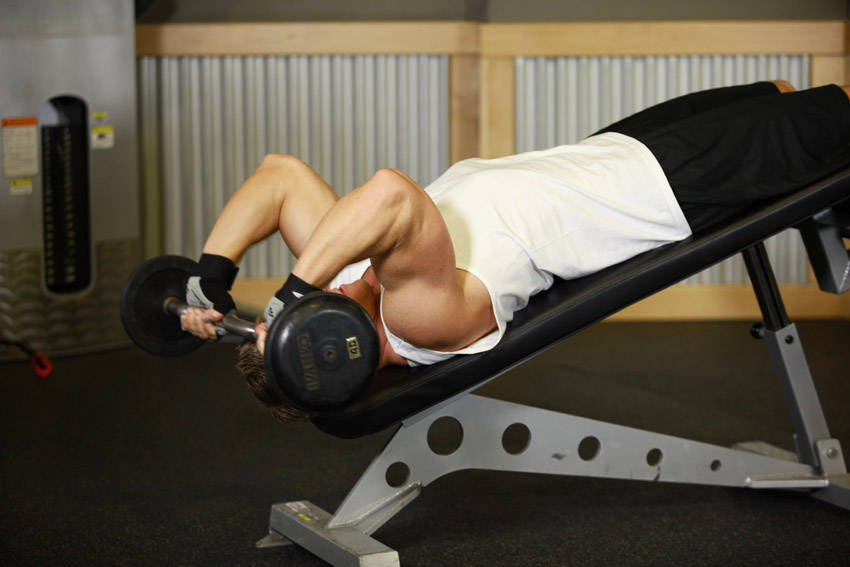 Decline EZ Bar Triceps Extension