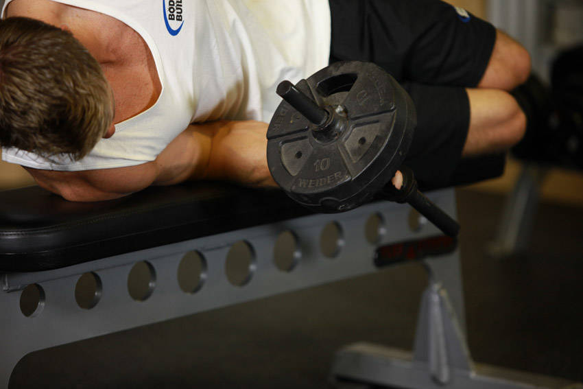 Dumbbell Lying Pronation