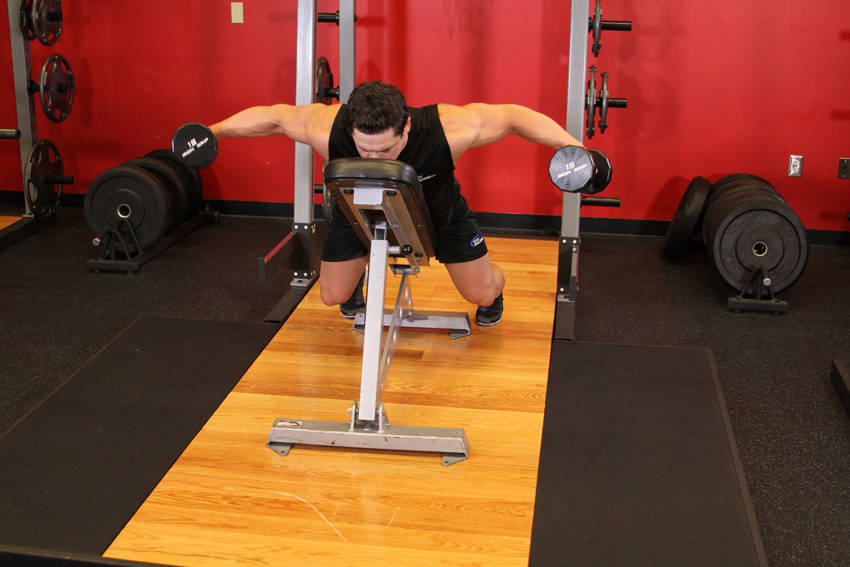 Dumbbell Lying Rear Lateral Raise