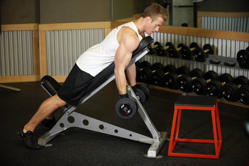 Dumbbell Prone Incline Curl