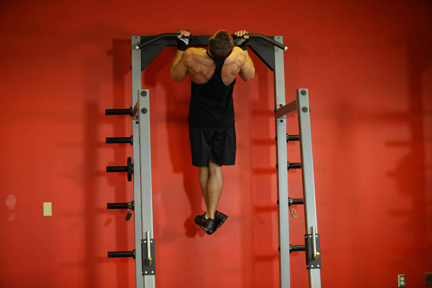 Gironda Sternum Chins