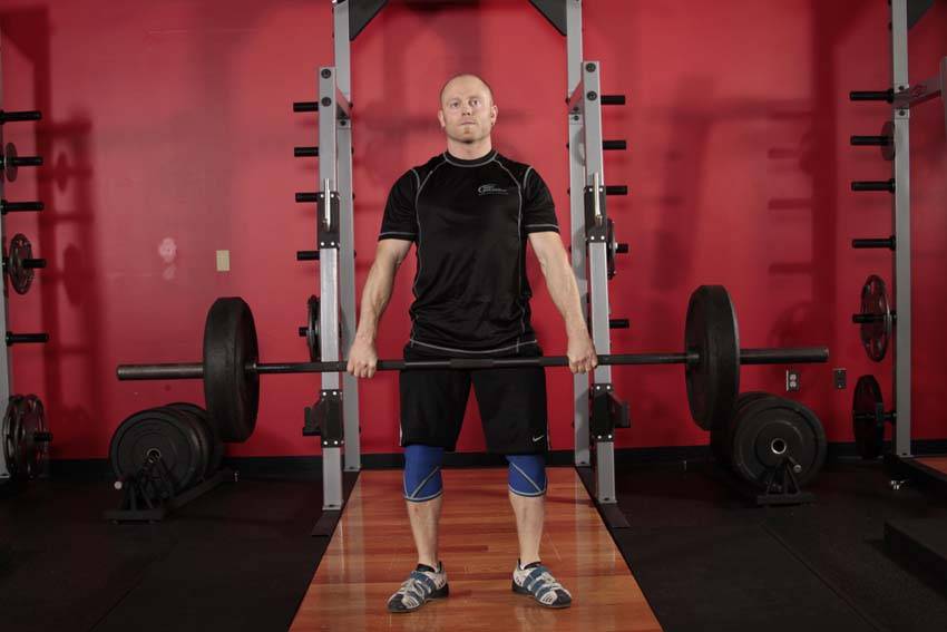 Hang Clean - Below the Knees