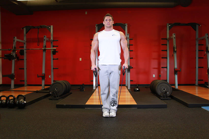 Lateral Raise - With Bands