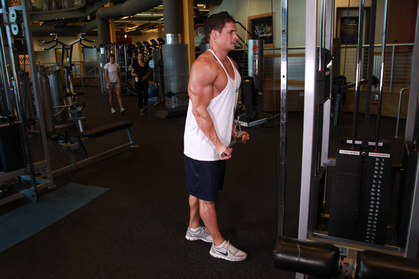 Reverse Grip Triceps Pushdown