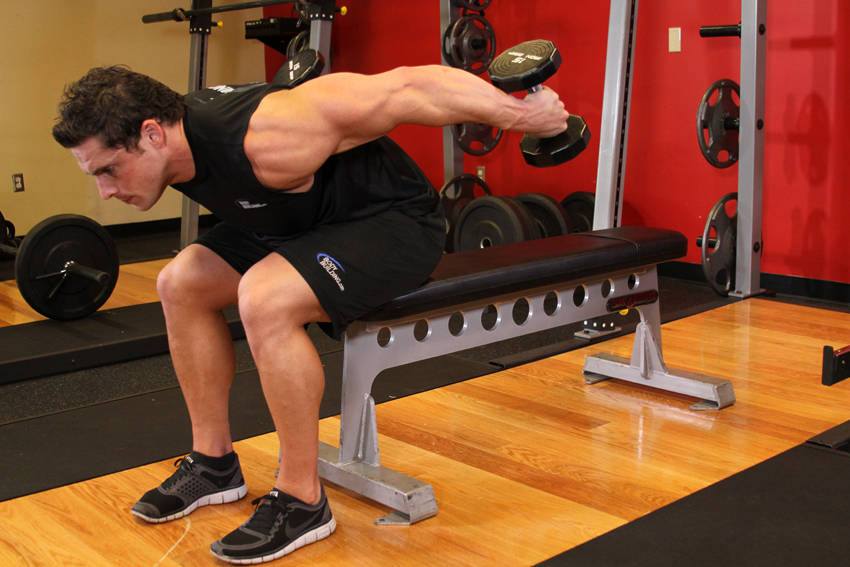 Seated Bent-Over Two-Arm Dumbbell Triceps Extension
