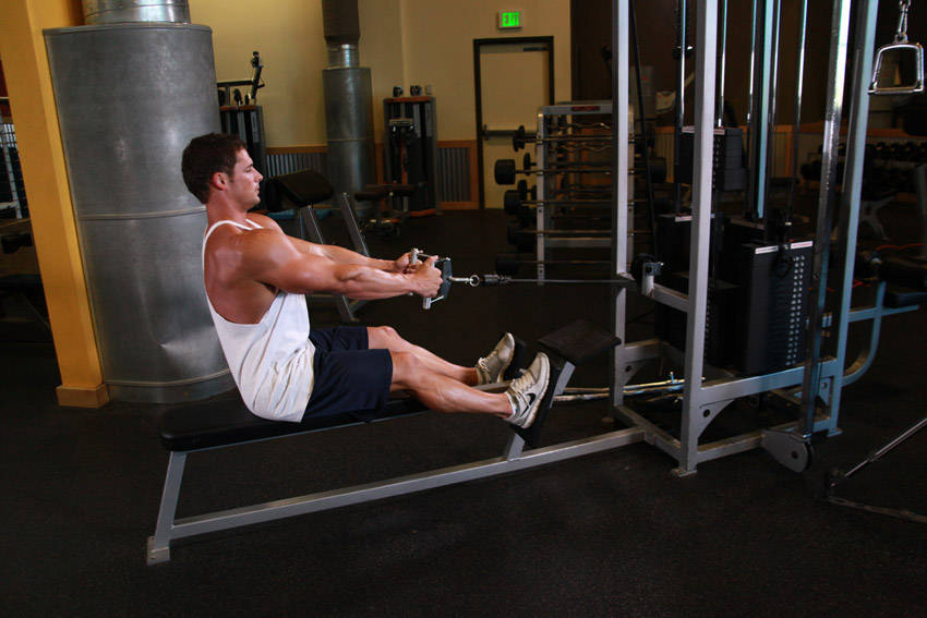 Seated Cable Rows