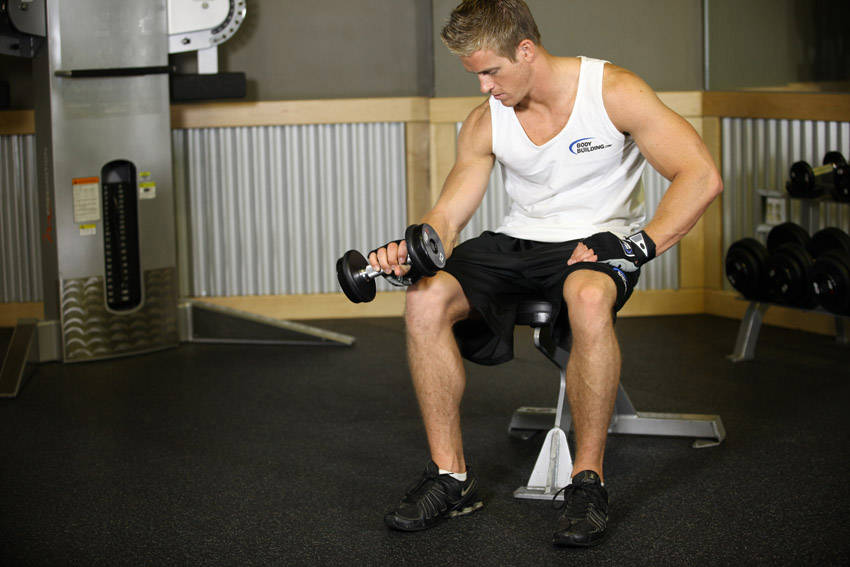 Seated One-Arm Dumbbell Palms-Down Wrist Curl