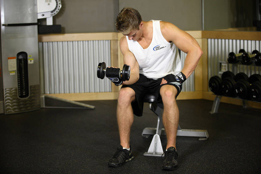 Seated One-Arm Dumbbell Palms-Up Wrist Curl