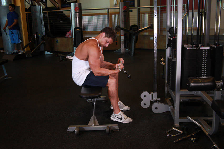 Seated Two-Arm Palms-Up Low-Pulley Wrist Curl