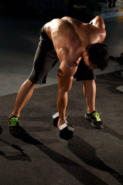 Standing Concentration Curl