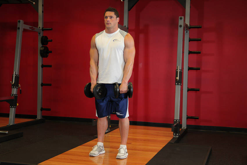 Standing Dumbbell Upright Row