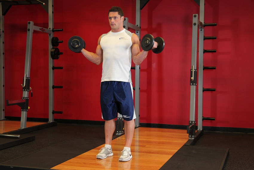 Standing Inner-Biceps Curl