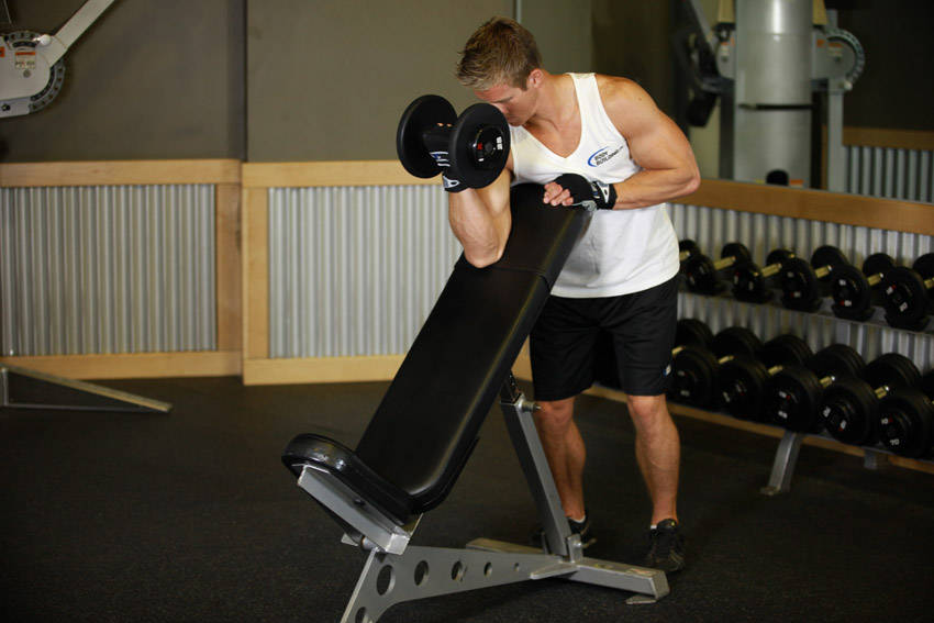 Standing One-Arm Dumbbell Curl Over Incline Bench