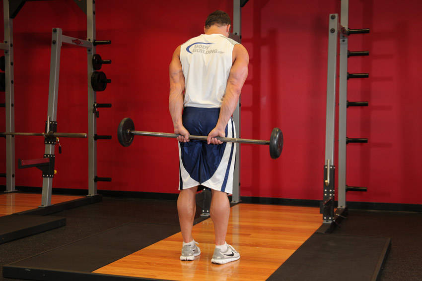 Standing Palms-Up Barbell Behind The Back Wrist Curl