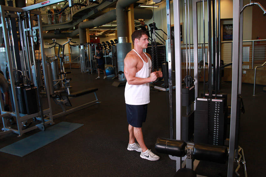 Triceps Pushdown - Rope Attachment